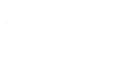 Cingo logo